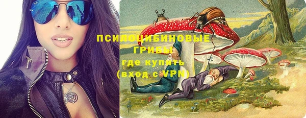 ПСИЛОЦИБИНОВЫЕ ГРИБЫ Абдулино