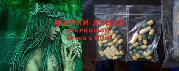 ПСИЛОЦИБИНОВЫЕ ГРИБЫ Абдулино