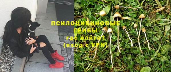 ПСИЛОЦИБИНОВЫЕ ГРИБЫ Абдулино